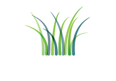 EnlivenWork can coach you all the way to the C-suite